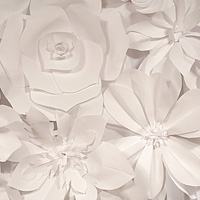 Białe kwiaty z papieru